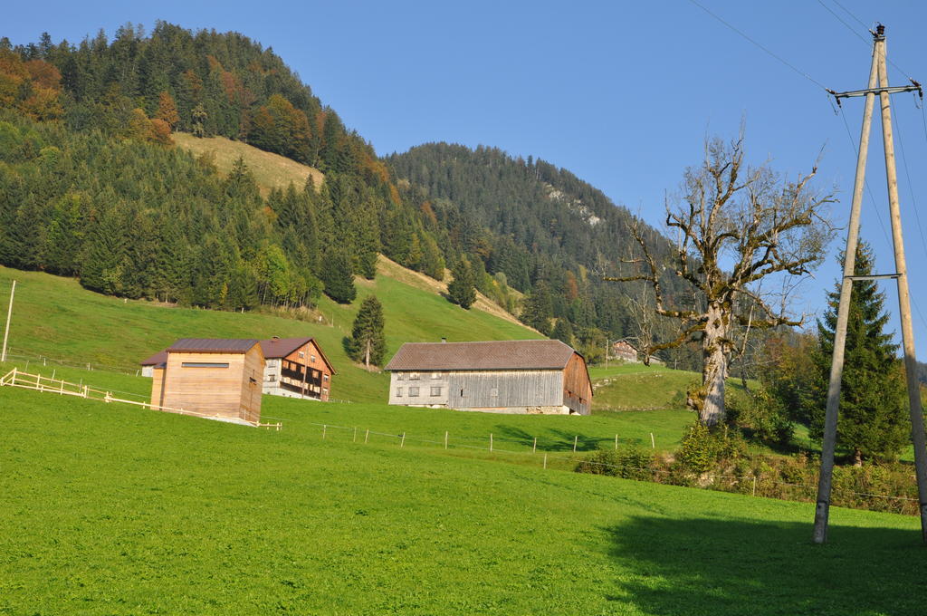 Gaestehaus Graf 베차우 객실 사진
